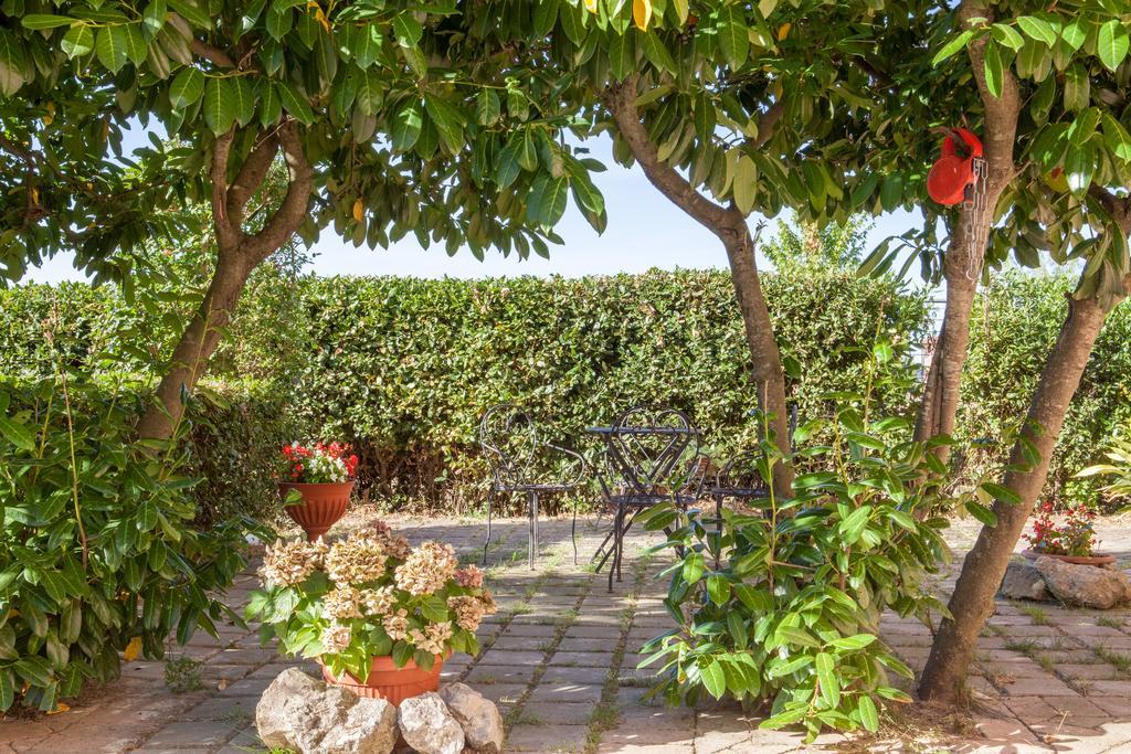 Agriturismo Artisti Del Cavallo Arezzo Exterior foto
